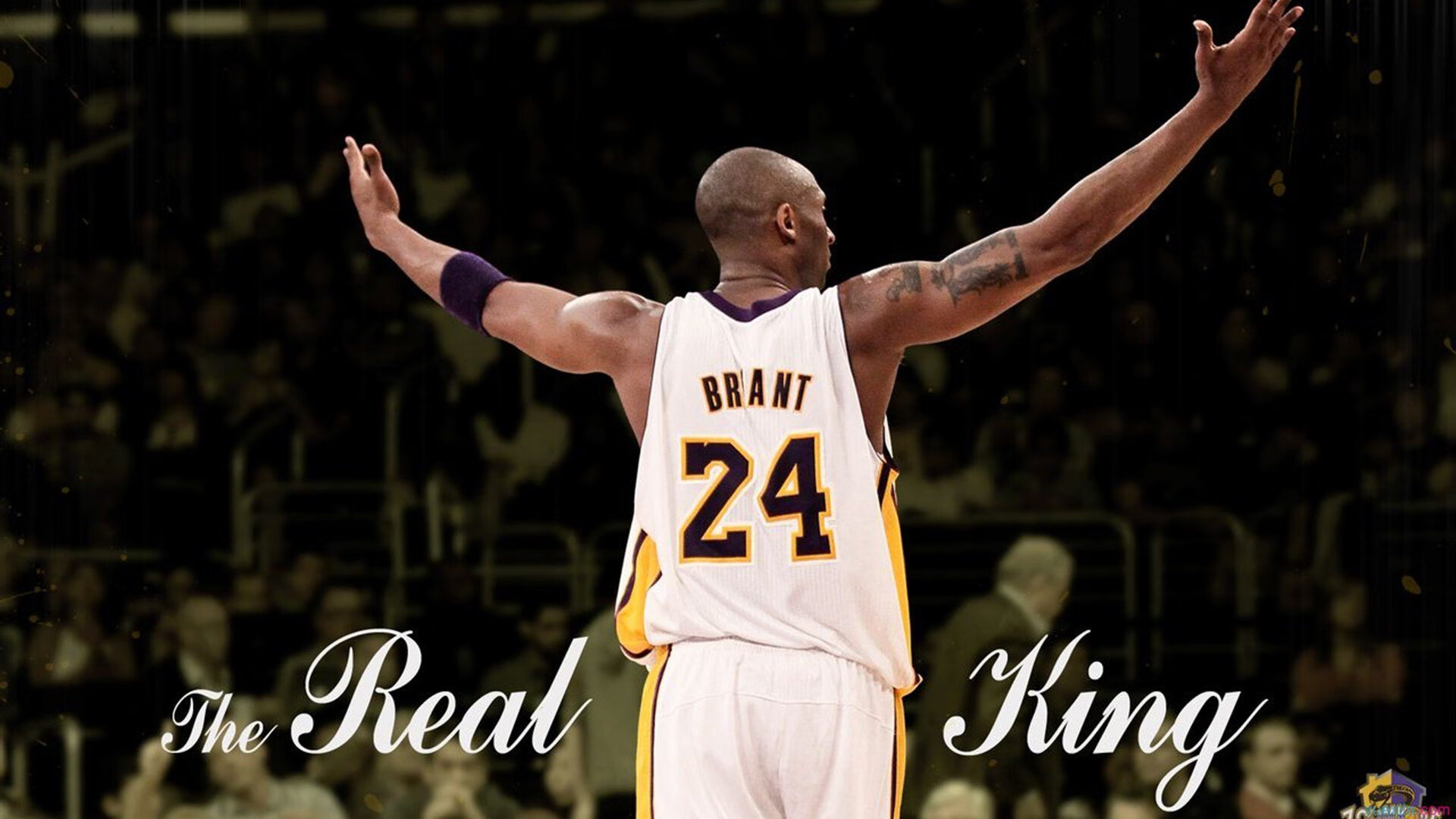 青年运动员形象管理加入媒体素养课程，青少年运动员文化教育与人格塑造